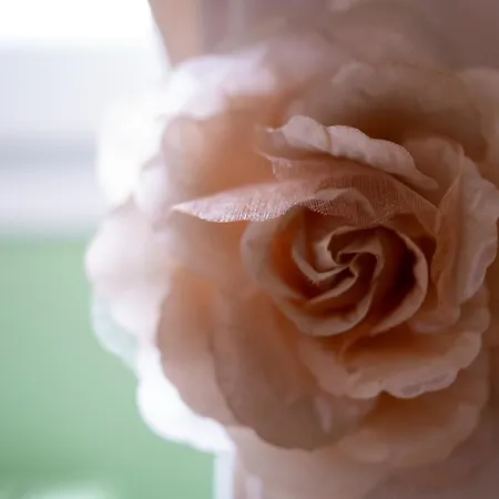 Parc De Coulassy Bed & Breakfast Nègrepelisse