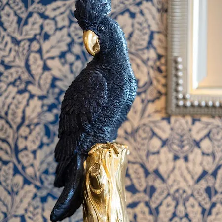 Parc De Coulassy Bed & Breakfast